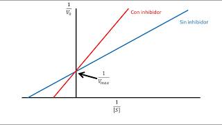 Cinética Enzimática  Inhibición competitiva [upl. by Tran]