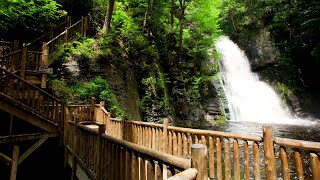 Exploring Bushkill Falls  Pocono Mountains Pennsylvania [upl. by Assela]