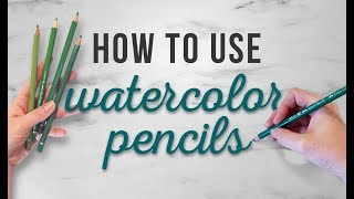 How To Use Watercolor Pencils  TIPS FOR BEGINNERS  How To For Beginners [upl. by Motteo83]