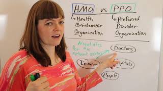 What is an HMO v PPO Health Insurer [upl. by Ellennad793]