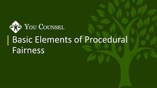 Basic Elements of Procedural Fairness [upl. by Stephenie]