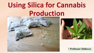 Using Silica for Cannabis Production [upl. by Eberta]