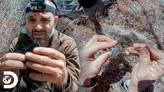 Banquete de ouriços em lagoa azul deslumbrante  Ed Stafford o sobrevivente  Discovery Brasil [upl. by Enrak]