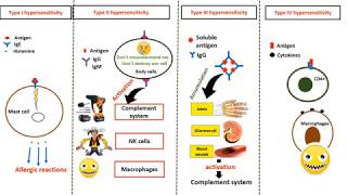 Hypersensitivity types in 4 minutes [upl. by Emmer133]