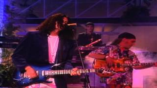 Caifanes  Viento En Vivo 1991Remasterizado HD [upl. by Jer]