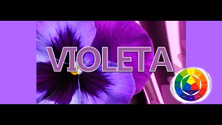 Como saco el Color Morado o Violeta [upl. by Aicirtak]