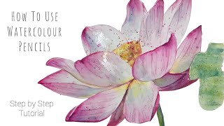 How To Use Watercolour Pencils  Flower Painting Tutorial [upl. by Eisle]