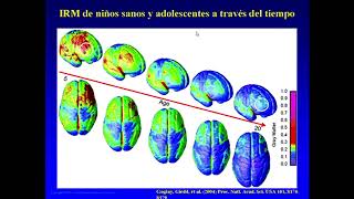 Últimos Avances de las Neurociencias en la Educación [upl. by Ennaillek]