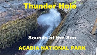 Thunder Hole Acadia National Park Maine [upl. by Pubilis]