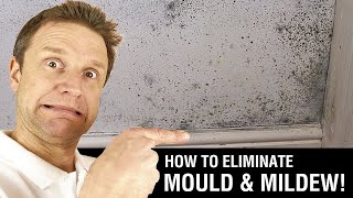 How to Paint over Mould amp Mildew [upl. by Aiza]