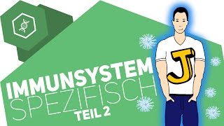 Spezifische Immunabwehr 2  Immunsystem [upl. by Rowen]