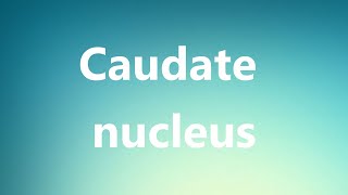 Caudate nucleus  Medical Meaning and Pronunciation [upl. by Ydac]