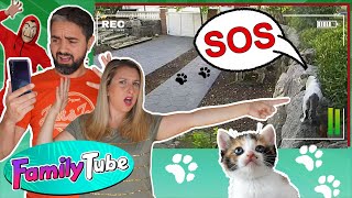 DESAPARECEN LOS GATOS  Web Serie FamilyTube [upl. by Eimot845]