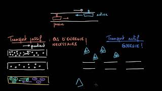 Introduction au transport passif et actif [upl. by Mendes]