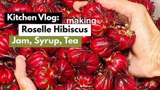 Roselle Hibiscus Harvesting making Jam Syrup amp Tea  Kitchen Vlog [upl. by Yrreiht617]