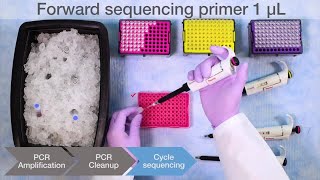 How to Perform Sanger Sequencing [upl. by Hakeber134]