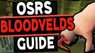 The Ultimate Bloodvelds Guide Old School Runescape [upl. by Aniral485]