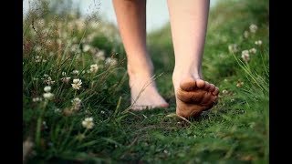 Documental sobre el Earthing quotThe Groundedquot Subtítulos en Español [upl. by Norling]