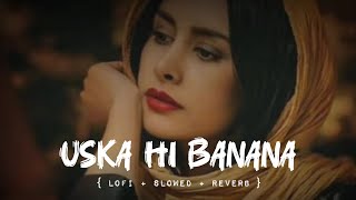 Uska Hi Banana SlowedReverb l New Hindi Song [upl. by Neerac435]