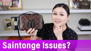 Louis Vuitton Saintonge Quality Issues  Calf Skin Leather [upl. by Nniuq757]