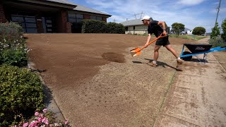 Lawn Renovation From Start To Finish  Scarify Scalp Core and Topdress [upl. by Cyrille126]