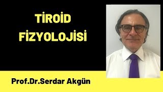 Fizyoloji Tiroid Fizyolojisi Endokrinoloji Tıp Dersleri 1Bölüm [upl. by Atikat]