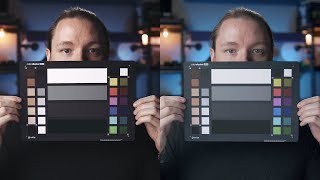 Best LUT for Beginners  Leeming vs FilmConvert vs Buttery [upl. by Tombaugh]