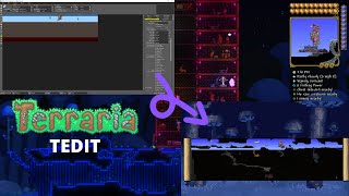 Terraria Program That Lets You Edit Your World TEdit [upl. by Bonnette]