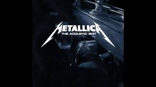 Metallica  The Acoustic Shit [upl. by Ahsemac]