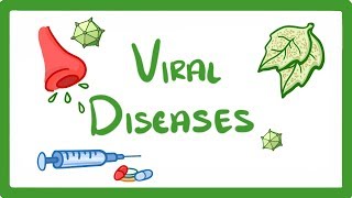 GCSE Biology  What Is a Virus  Examples of Viral Disease HIV Measles amp TMV 36 [upl. by Matthei]