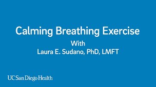 Lung Exercises Healing Your Breath [upl. by Ahsineb]