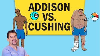 Addisons vs Cushings Disease for NCLEX RN [upl. by Marty]