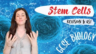 STEM CELLS GCSE Biology 91  Combined Sci Revision amp Questions [upl. by Eirrotal]