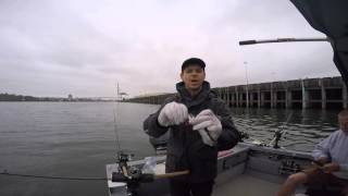 Spring Chinook Salmon Rigging a whole Herring [upl. by Leeda]