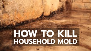 How to Kill Household Mold [upl. by Vasos]