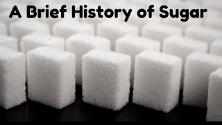 A Brief History of Sugar From Slavery to Sweetener [upl. by Neelyar]