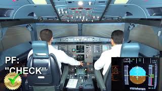 A320 Takeoff Explained [upl. by Yalhsa]