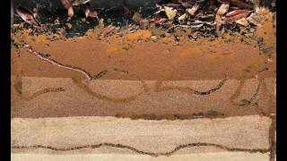 Bioturbation  Worms at Work [upl. by Armahs735]