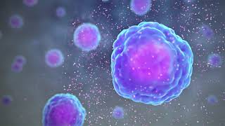 Types of Immune Cells Part 1 Immune Cell Function [upl. by Cathlene86]