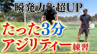 毎日3分簡単アジリティートレーニング教えます！ [upl. by Decca]