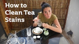 How to Clean Tea Stains  A Simple Guide to Cleaning Your Teaware [upl. by Grochow]