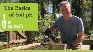 The Basics of Soil pH [upl. by Irolav]