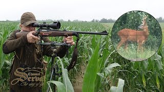 Roebuck hunting in Croatia  Cesma 2018  Rehbockjagd in Kroatien [upl. by Codee9]