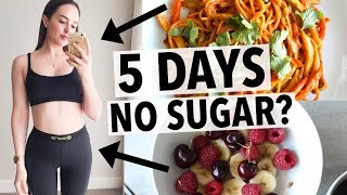 5 DAYS NO SUGAR CHALLENGE  HOW I QUIT SUGAR  HEALTHY RECIPE IDEAS [upl. by Giorgi185]