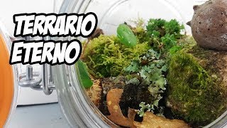 Cómo Hacer un TERRARIO ETERNO 🌱  Eternal Terrarium  La Huerta de Ivan [upl. by Nahgam292]