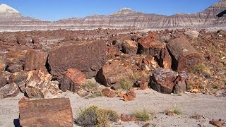 On The Trail Petrified Forest National Park [upl. by Line]