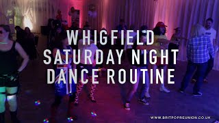 Remember the 1990s Whigfield Saturday Night Dance Routine [upl. by Heeley]