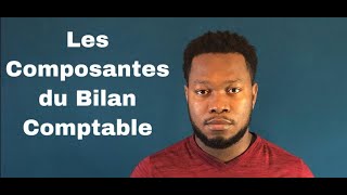 L’actif le passif et les capitaux propres du bilan comptable [upl. by Christean]