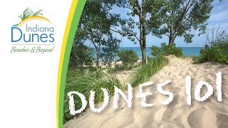 What Are the Indiana Dunes — Dunes 101 Orientation  Indiana Dunes [upl. by Korrie]