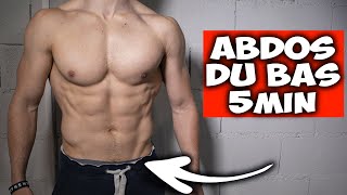 5min Abdos du bas entrainement maison  ventre plat [upl. by Ariaj42]